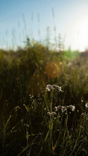 51吃瓜今日吃瓜热门吃瓜截图1